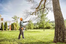 How Our Tree Care Process Works  in  Fort Mill, SC