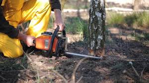 Leaf Removal in Fort Mill, SC